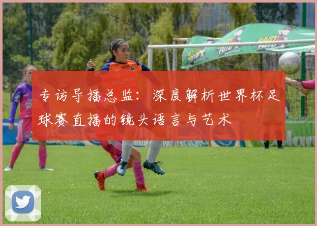 专访导播总监：深度解析世界杯足球赛直播的镜头语言与艺术