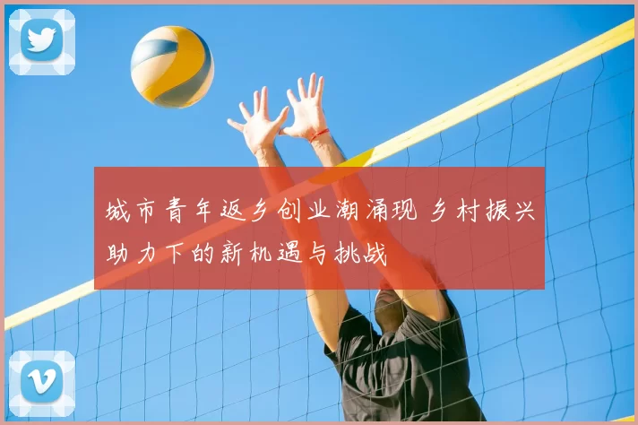 城市青年返乡创业潮涌现 乡村振兴助力下的新机遇与挑战