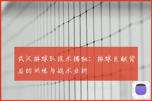 武汉排球队技术揭秘：排球巨献背后的训练与战术分析