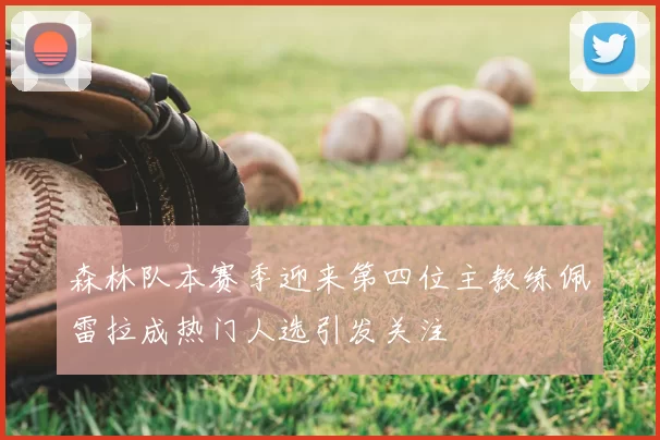 森林队本赛季迎来第四位主教练佩雷拉成热门人选引发关注