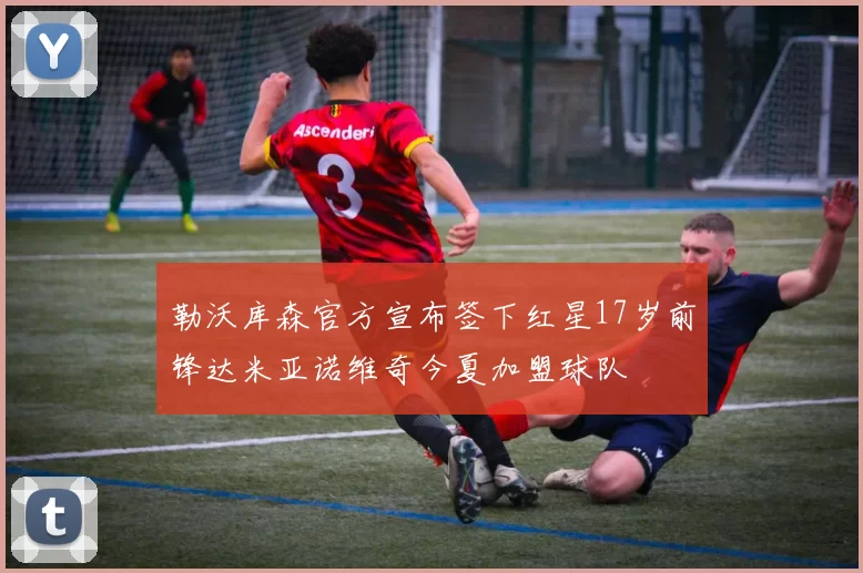 勒沃库森官方宣布签下红星17岁前锋达米亚诺维奇今夏加盟球队