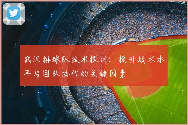 武汉排球队技术探讨：提升战术水平与团队协作的关键因素