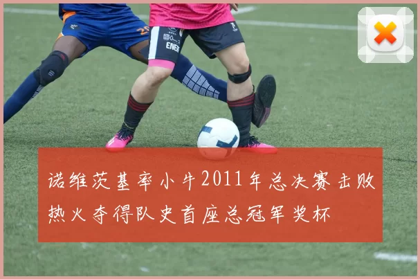 诺维茨基率小牛2011年总决赛击败热火夺得队史首座总冠军奖杯