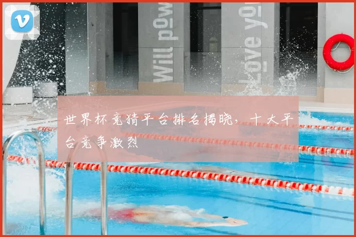 世界杯竞猜平台排名揭晓，十大平台竞争激烈