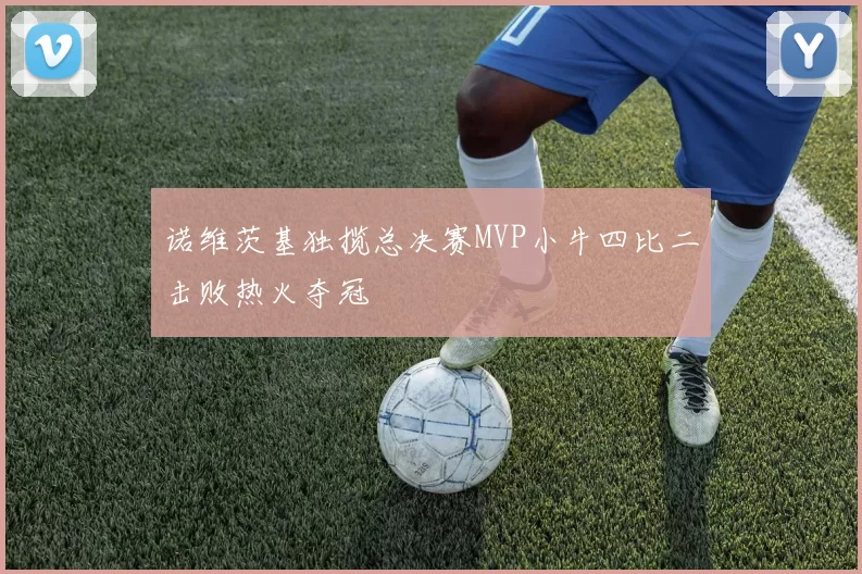 诺维茨基独揽总决赛MVP小牛四比二击败热火夺冠