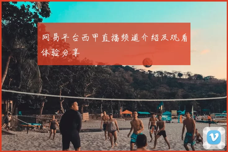 网易平台西甲直播频道介绍及观看体验分享