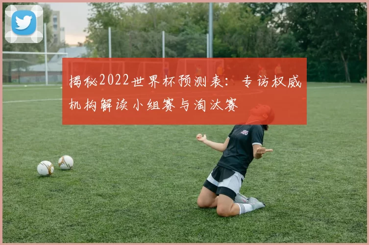 揭秘2022世界杯预测表：专访权威机构解读小组赛与淘汰赛