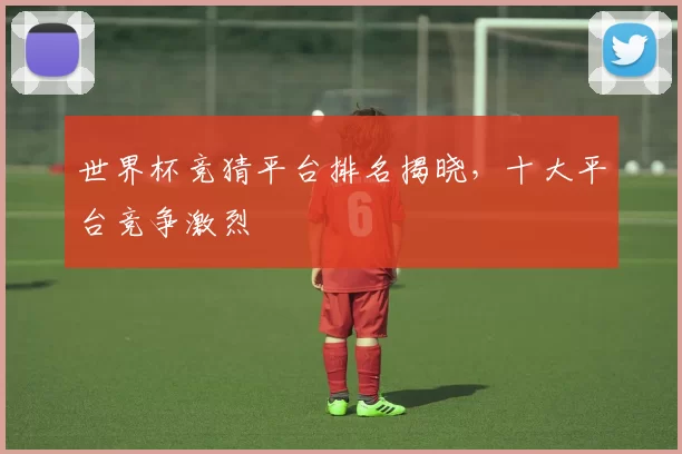 世界杯竞猜平台排名揭晓，十大平台竞争激烈
