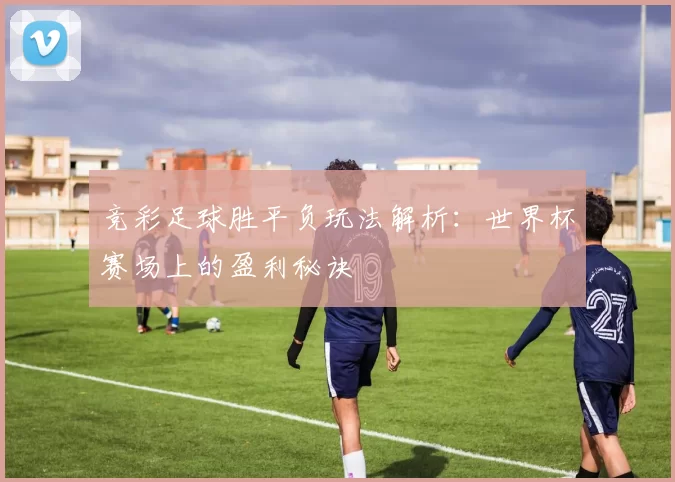 竞彩足球胜平负玩法解析:世界杯赛场上的盈利秘诀