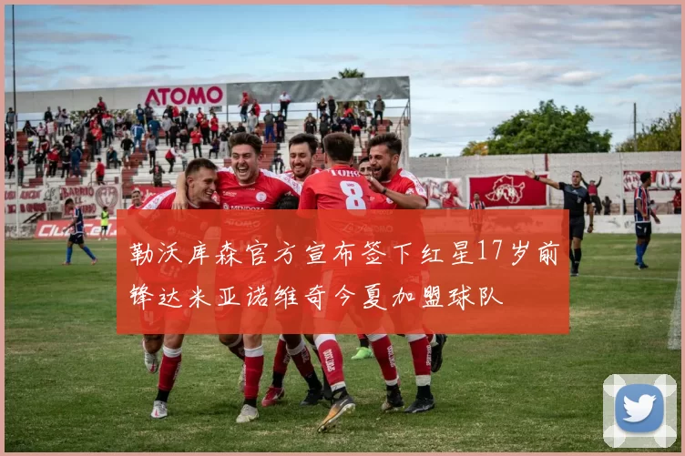 勒沃库森官方宣布签下红星17岁前锋达米亚诺维奇今夏加盟球队